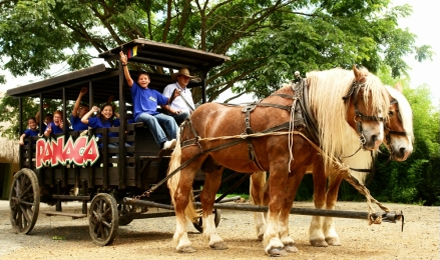 Panaca - Foto: turistear.com.co