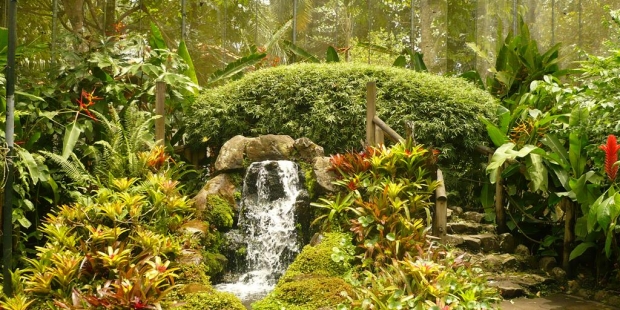 Mariposario - Foto: colombiapasajes.com