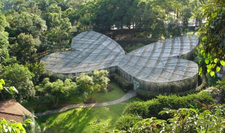 Jardín Botánico – Mariposario